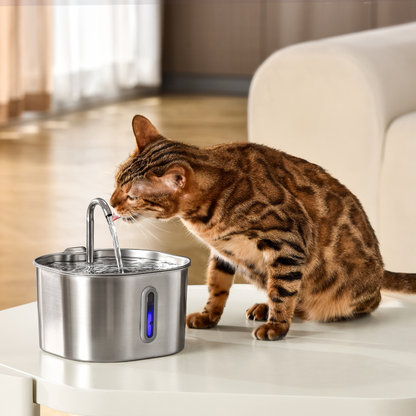 HydraPurr™ – 2.2L Stainless Steel Cat Water Fountain