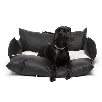 Dockvanta™ – Durable Dog Dock with Latch Anchoring