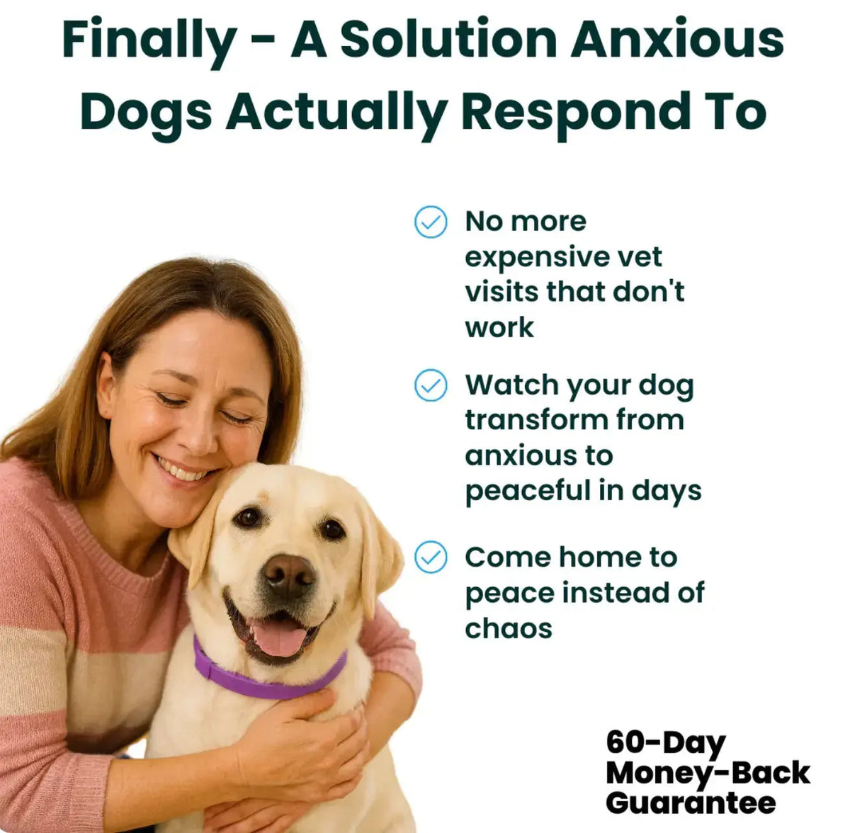 CalmPaw™ – Comfortable dog collar for relaxed walks