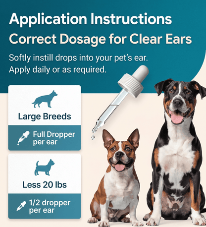 EarLuxe™ – Easy-to-Use Ear Cleaner for Comfortable Ear Care